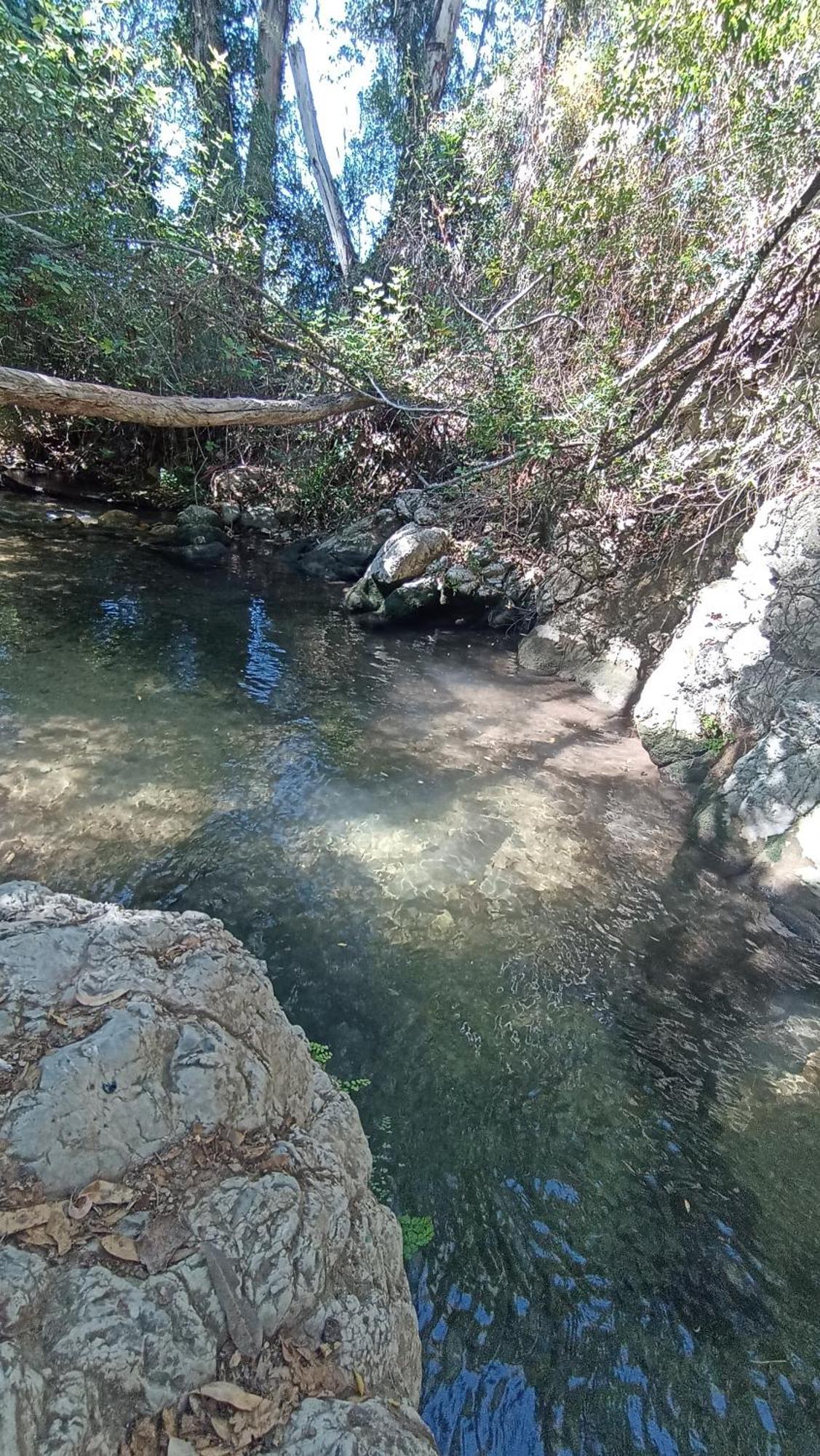 Azahares Apartamento Turistico El Bosque  Zewnętrze zdjęcie